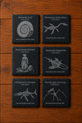 Jurassic Coasters