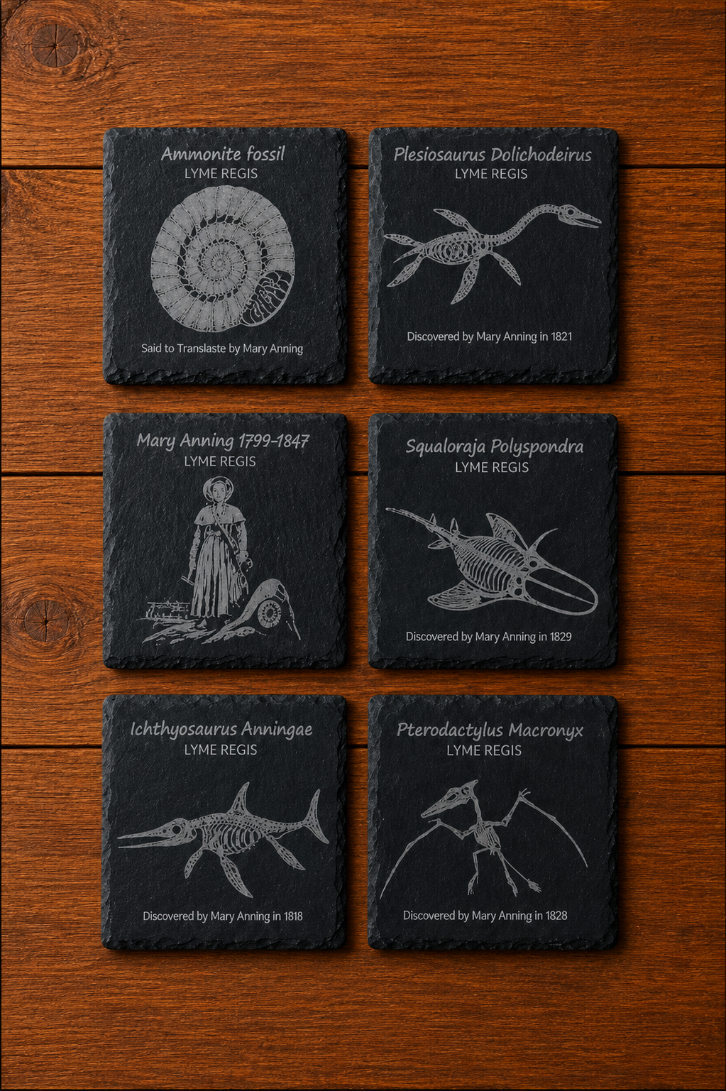Jurassic Coasters